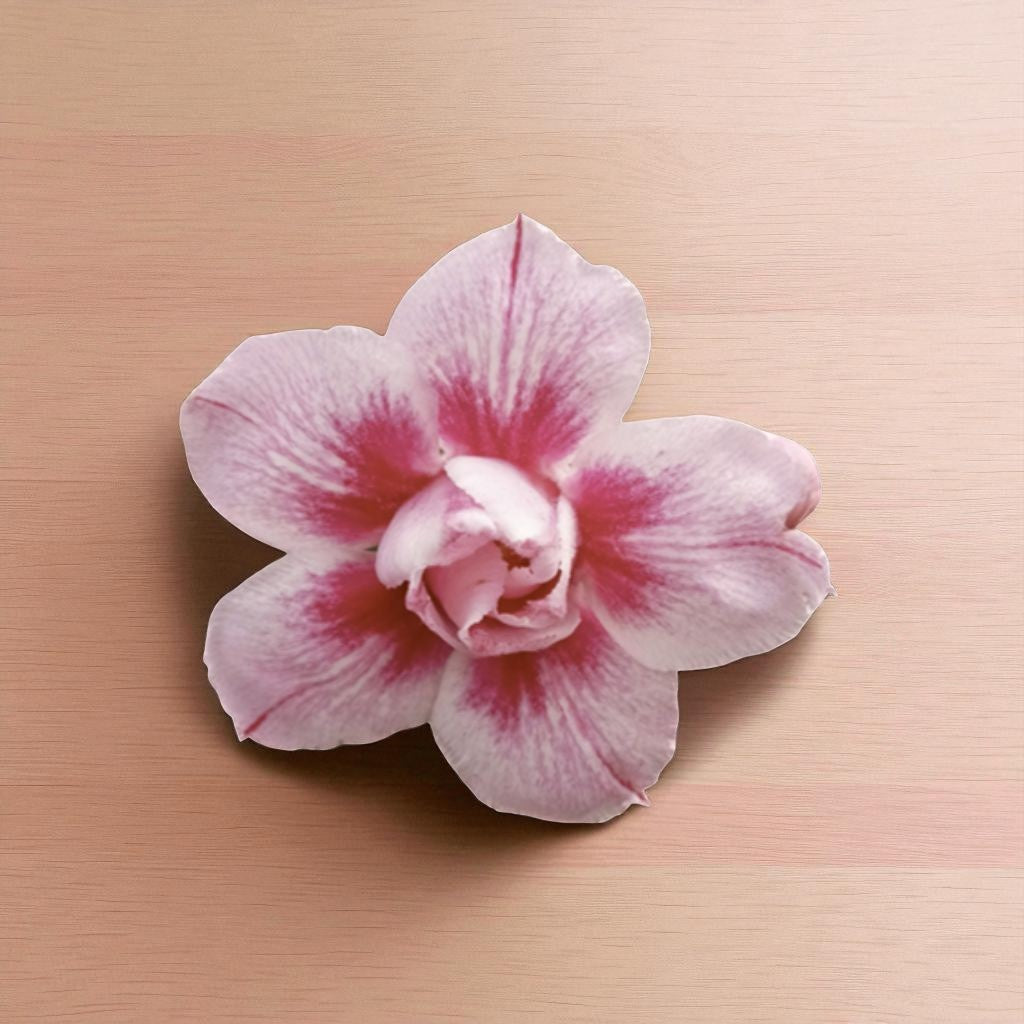 Adenium R401