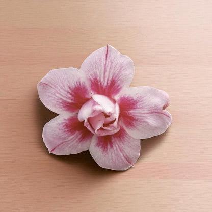 Adenium R401