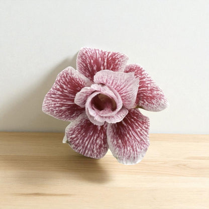 Adenium R402