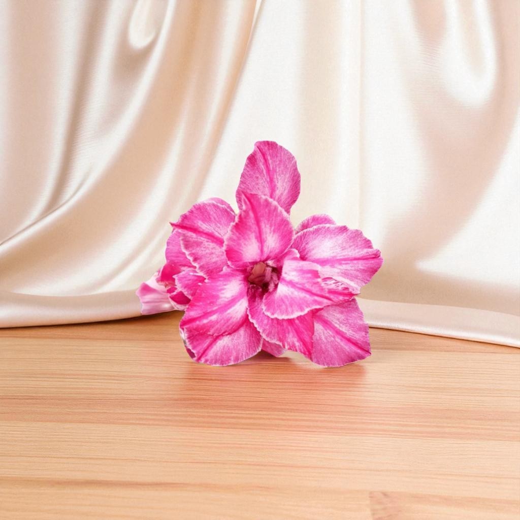 Adenium R408