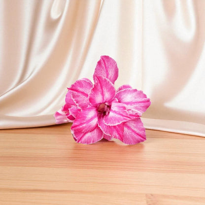 Adenium R408