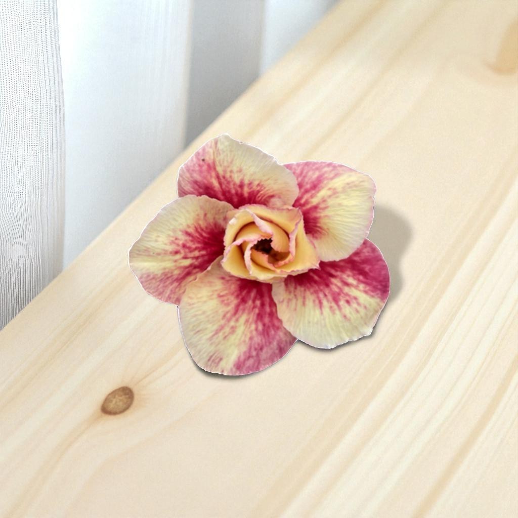 Adenium R418