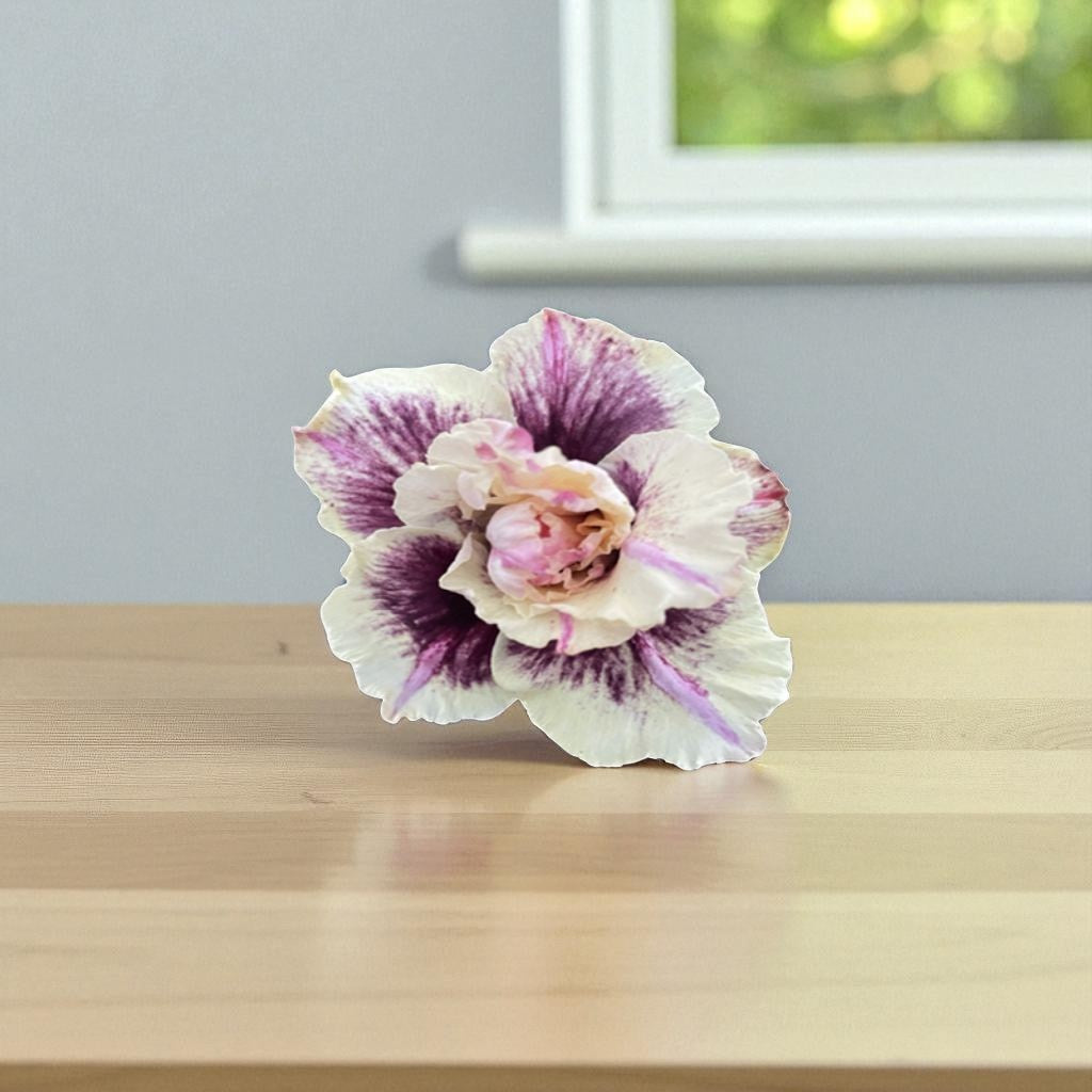 Adenium R419