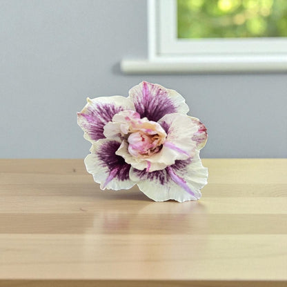 Adenium R419