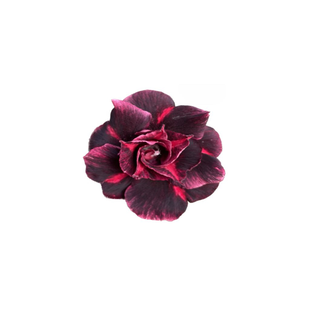 Adenium R435