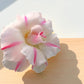 Adenium R6