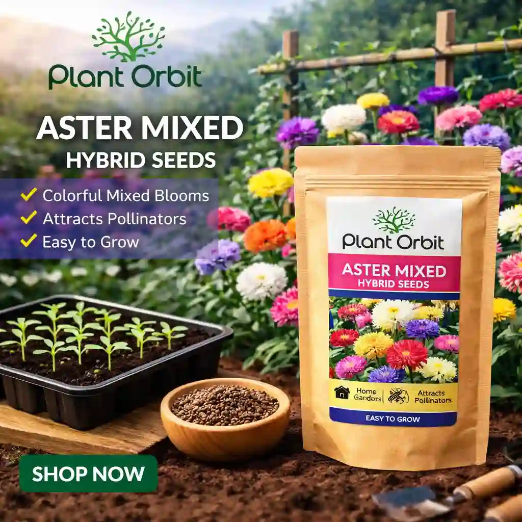 Plant Orbit Aster Mixed Hybrid Seeds packaging with gardening tools and seedlings in a garden setting.