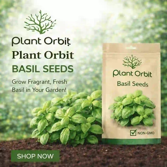 BASIL – LEMON HYBRID SEEDS