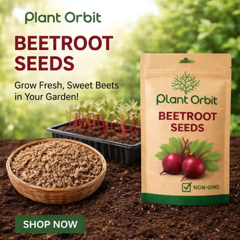 Plant Orbit beetroot seeds packaging with seeds in a bowl and seedlings in the background.
