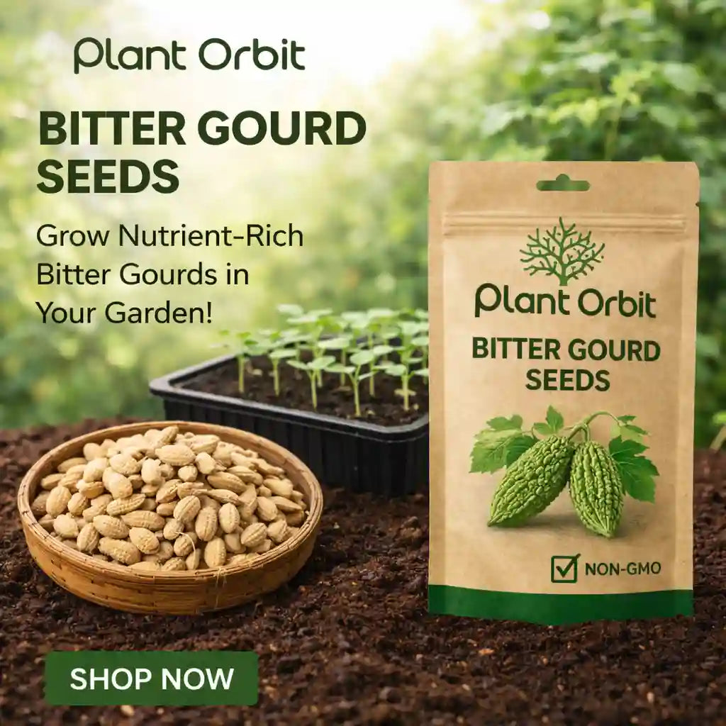 BITTER GOURD HYBRID SEEDS