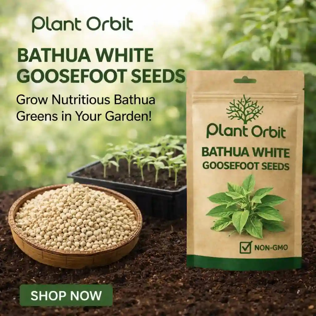 Plant Orbit Bathua White Goosefoot seeds packaging with seeds and seedlings in the background.