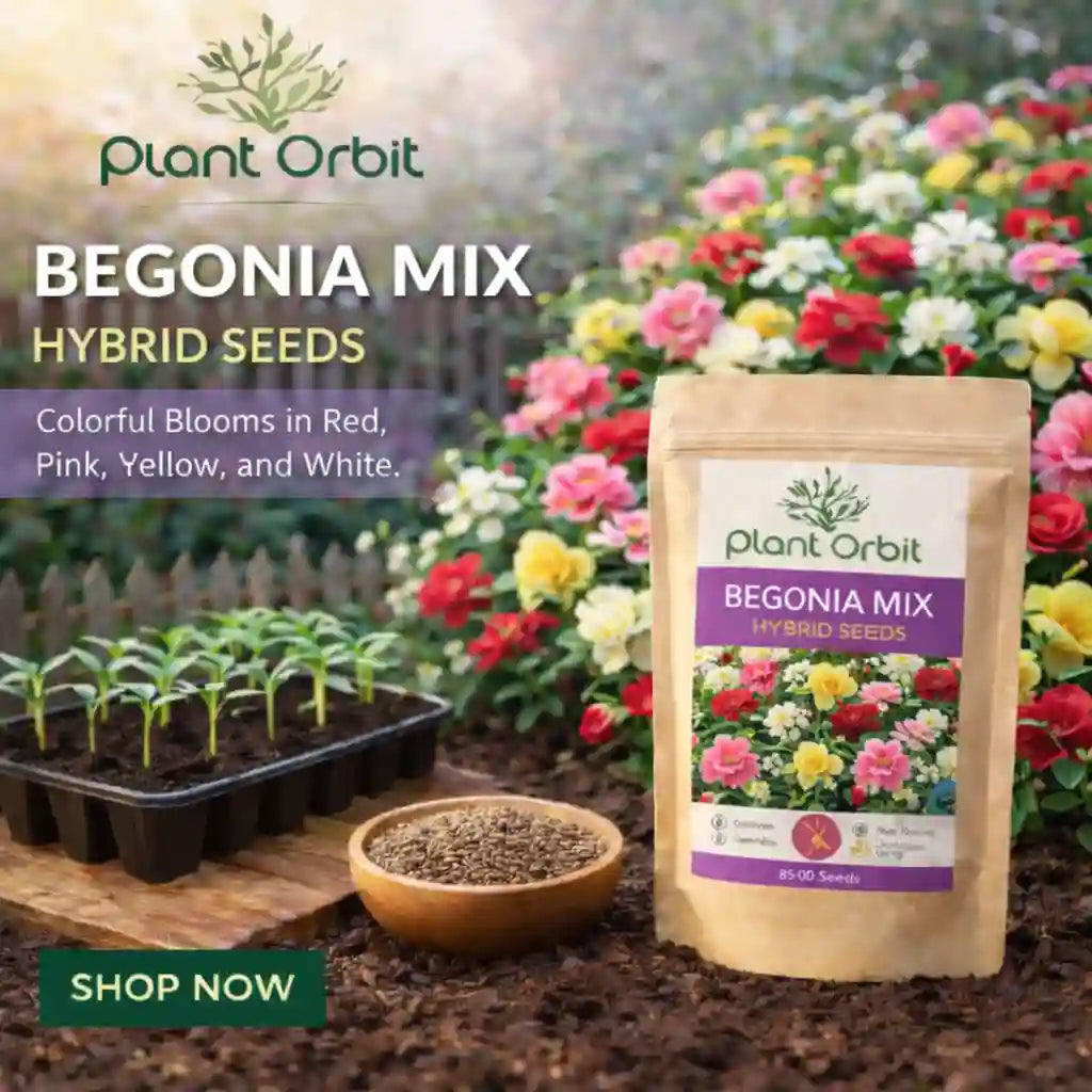 Begonia mix hybrid seeds package with seedlings and flowers in the background, featuring Plant Orbit branding.