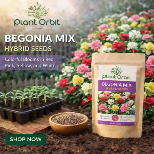 Begonia mix hybrid seeds package with seedlings and flowers in the background, featuring Plant Orbit branding.