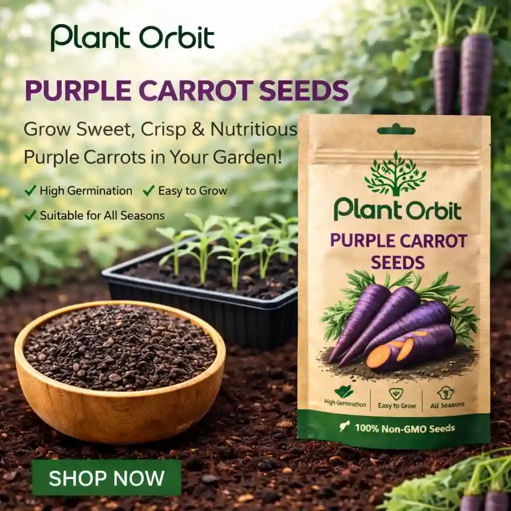 Plant Orbit Purple Carrot Seeds packaging with seeds and soil in the background