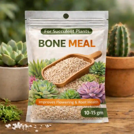 Bone meal (10-15gm)