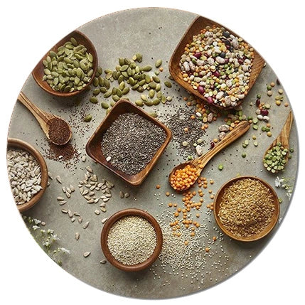 Assortment of various seeds including pumpkin, sunflower, chia, and lentils in wooden bowls and spoons, ideal for planting and enhancing indoor gardening projects. Discover a range of high-quality seeds for indoor plants, succulents, and cactus gardening at Plant Orbit.