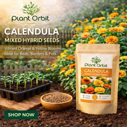 CALENDULA MIXED HYBRID SEEDS 