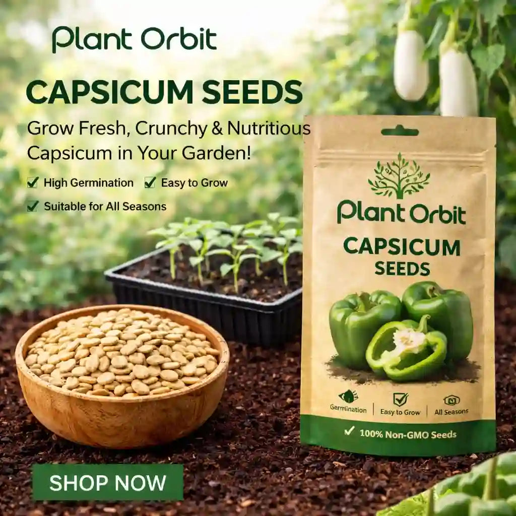 Plant Orbit Capsicum seeds packaging with seeds in a bowl and garden background