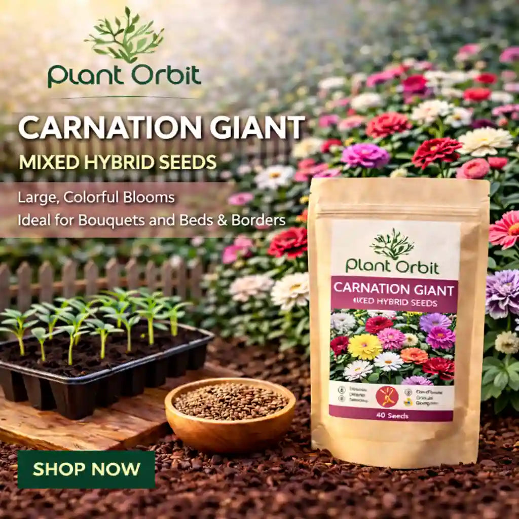 Plant Orbit Carnation Giant mixed hybrid seeds packaging with gardening elements in the background