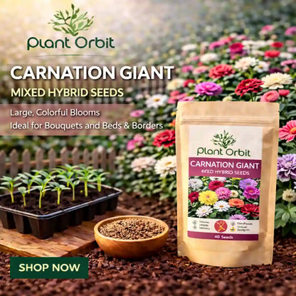 Plant Orbit Carnation Giant mixed hybrid seeds packaging with gardening elements in the background