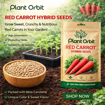 Plant Orbit Red Carrot Hybrid Seeds packaging with seeds in a bowl and garden background