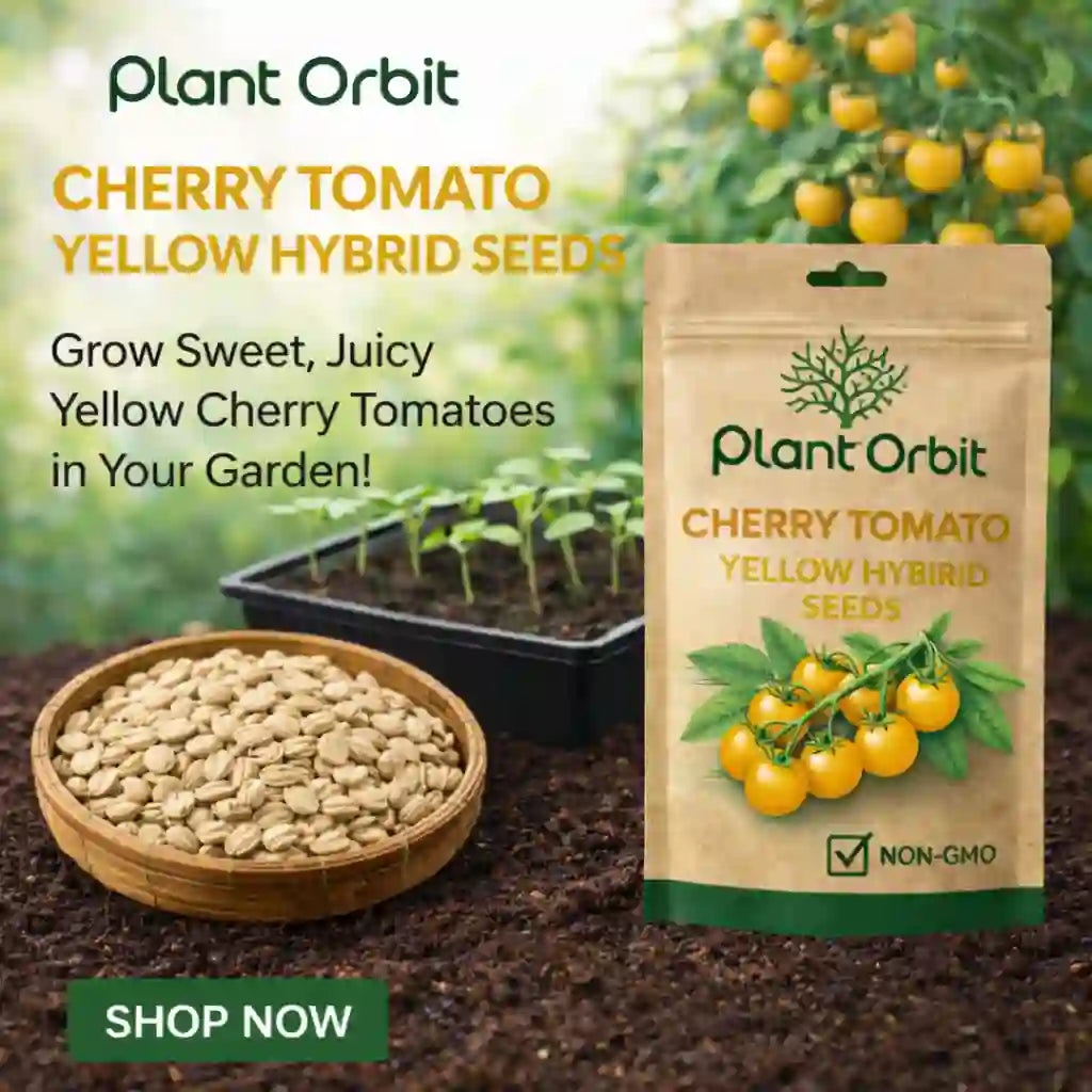 Plant Orbit cherry tomato seeds packaging with seeds and garden background
