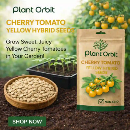 Plant Orbit cherry tomato seeds packaging with seeds and garden background
