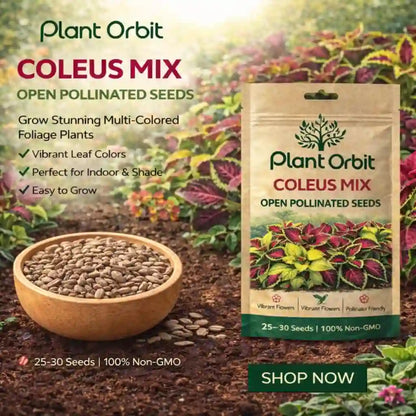 COLEUS MIX HYBRID SEEDS