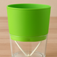 Green self watering pot