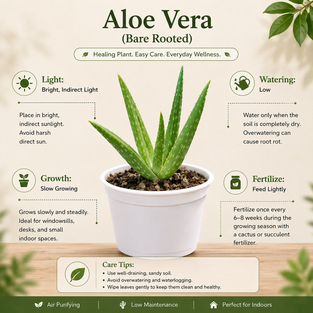 benefits of aloe vera plant in house Buy Aloe Vera at Just ₹79 only in india at Plant Orbit