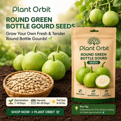 Bottle Gourd Lauki Round Hybrid Seeds