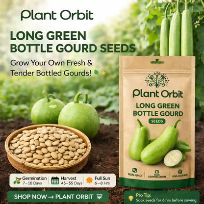 BOTTLE GOURD- LAUKI (LONG) HYBRID SEEDS