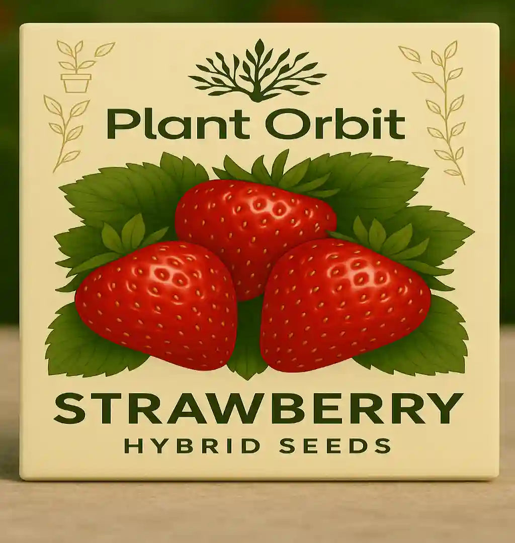 hybrid strawberry seeds STRAWBERRY HYBRID SEEDS (100 seeds) – Plant Orbit