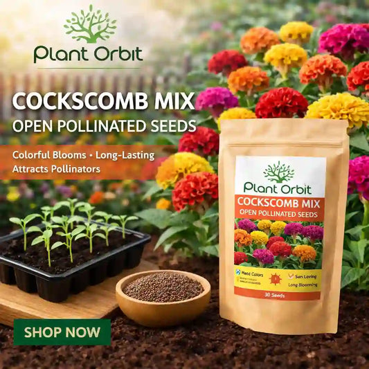 Plant Orbit cockscomb mix seeds packaging with flowers and seedlings in the background