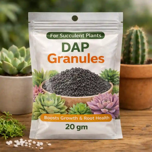 DAP Granules package for succulent plants with cacti and succulents in the background.