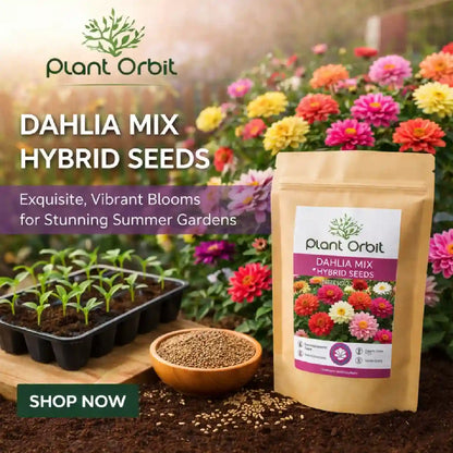 Plant Orbit Dahlia Mix hybrid seeds packaging with growing plants and flowers in the background.
