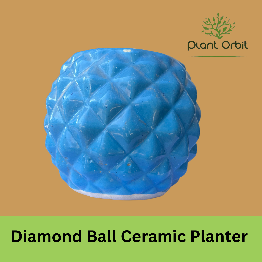 Diamond Ball Ceramic Planter