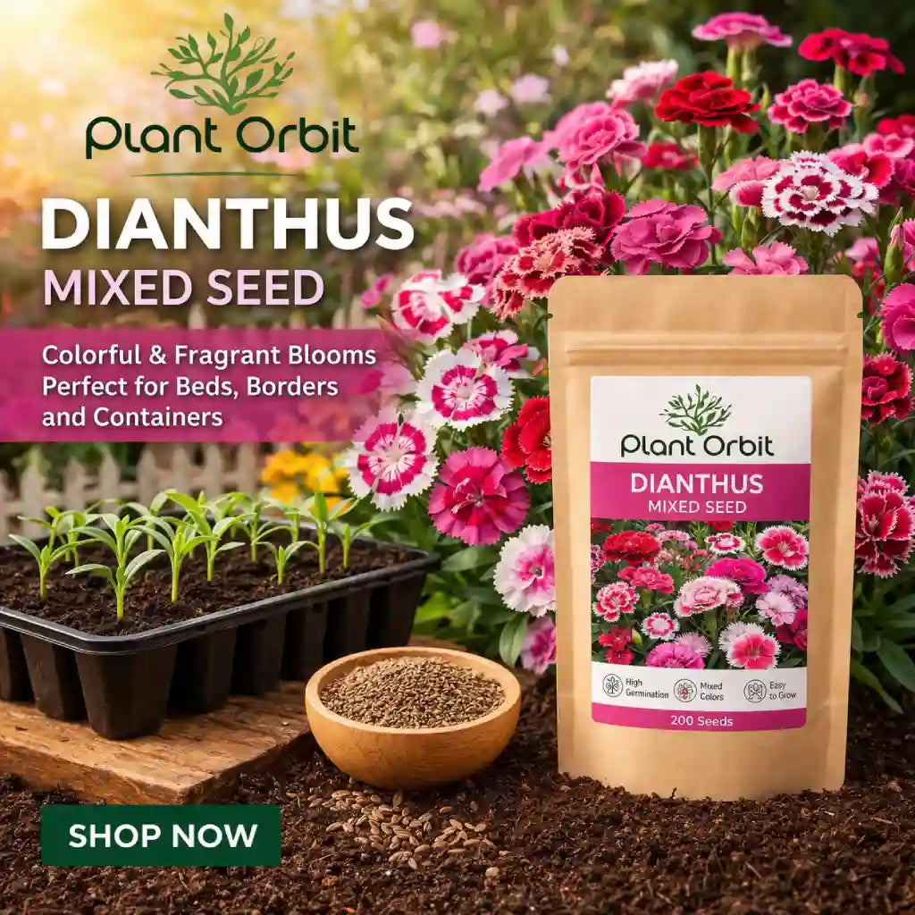 Plant Orbit Dianthus mixed seed package with seeds, plants, and flowers in the background.