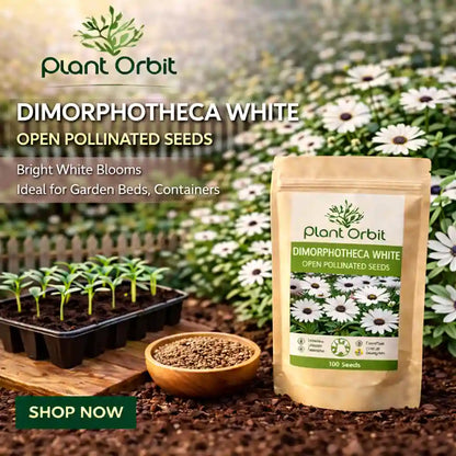 Plant Orbit Dimorphotheca White seeds packaging with garden elements in the background