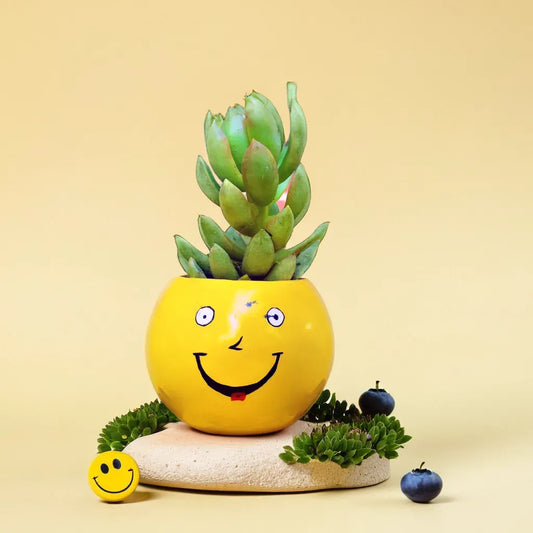Emoji Planter #3