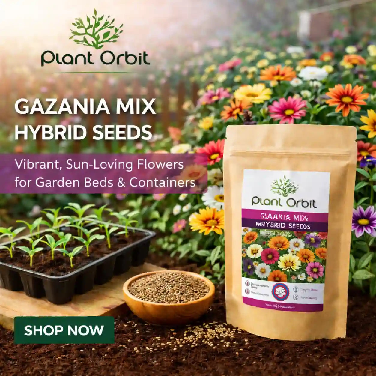 Gazania mix hybrid seeds packaging with plants and flowers in the background, featuring Plant Orbit brand.