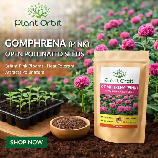 Plant Orbit Gomphrena pink seeds packaging with plants and soil on a blurred garden background