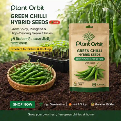Green Chilli Hybrid Seeds packaging with fresh green chilies and gardening context