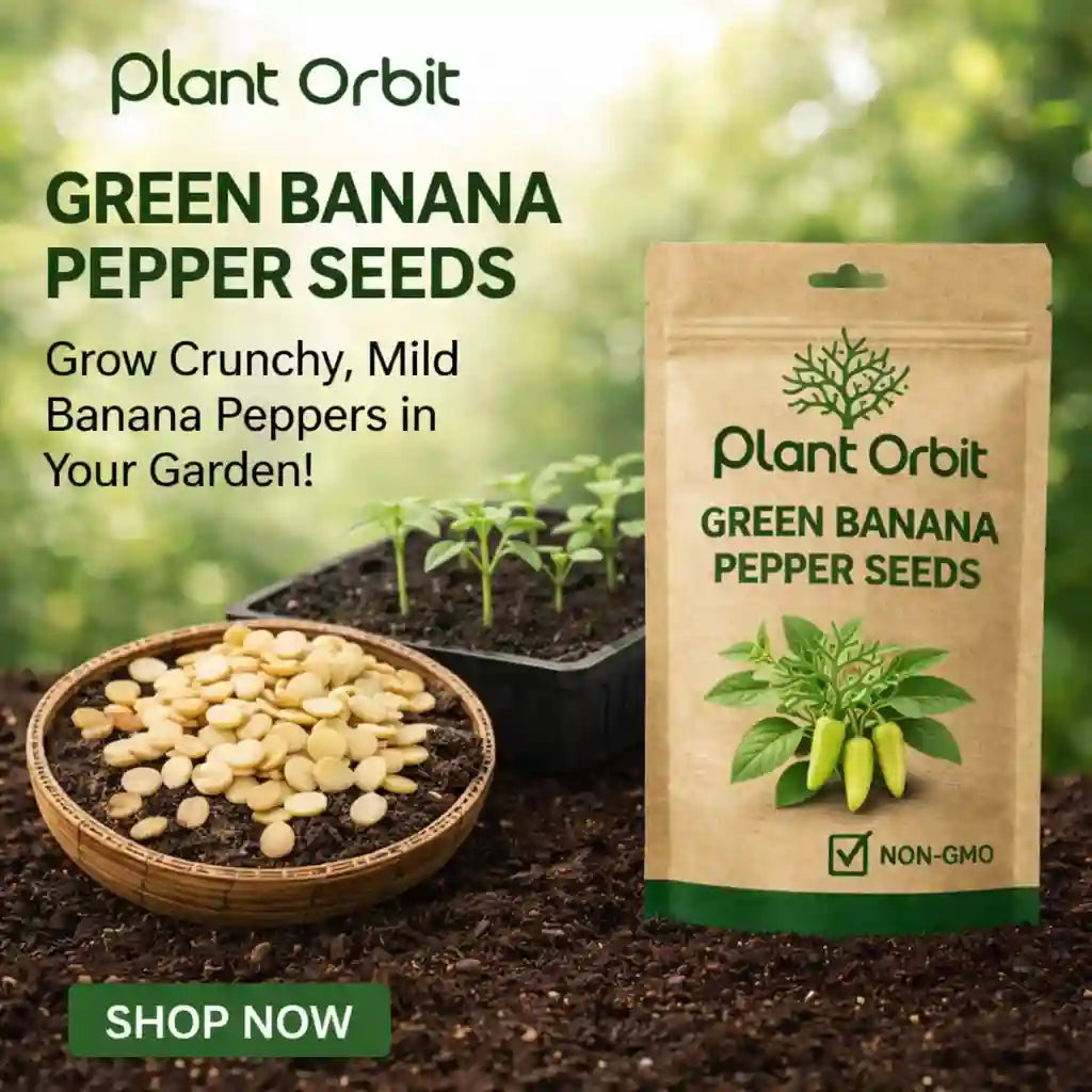 Green banana pepper Seeds