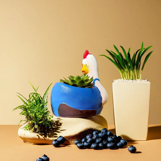 Colorful hen-shaped planter with a blue body, perfect for holding succulents or small indoor plants. This whimsical planter adds a touch of charm and personality to any indoor garden. Discover more unique and decorative succulent pots like this at Plant Orbit.