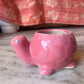 pink turtle pot