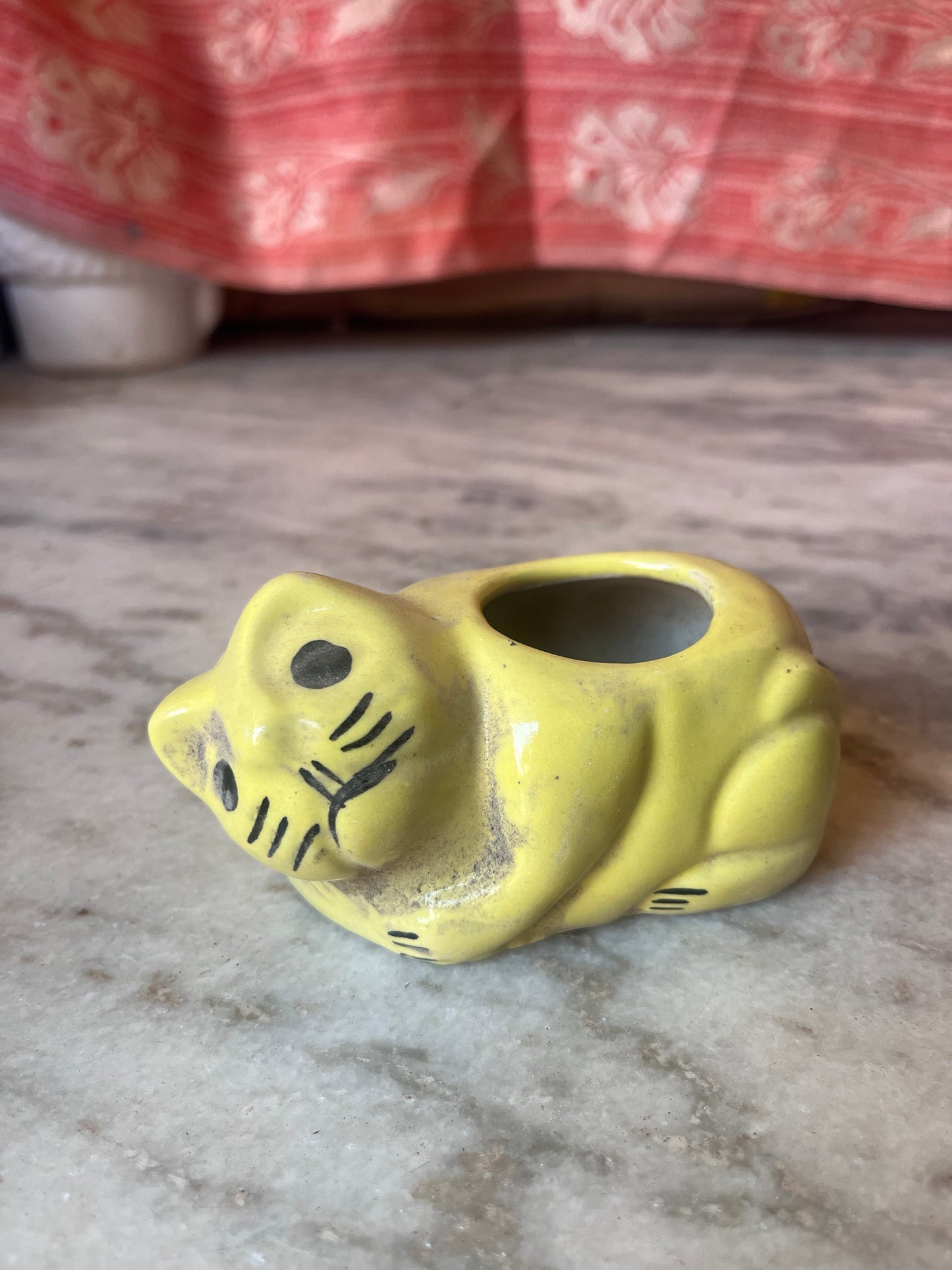 Cat yellow pot