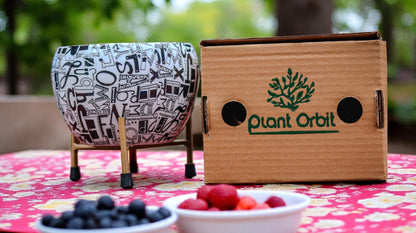 Black and white Apple meena Planter 1006 D