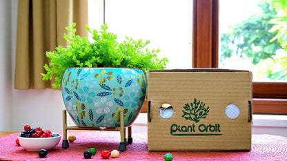 Apple Meena Pot 1006 AQ