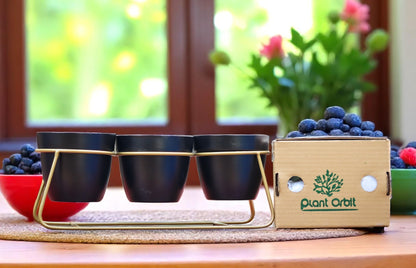 Trio Black metal planter in Golden stand 1129 A